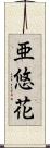 亜悠花 Scroll