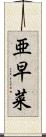 亜早菜 Scroll