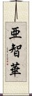 亜智華 Scroll