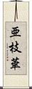 亜枝華 Scroll