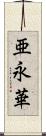 亜永華 Scroll