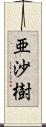 亜沙樹 Scroll