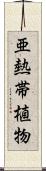 亜熱帯植物 Scroll