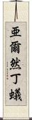 亜爾然丁蟻 Scroll
