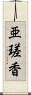 亜瑳香 Scroll