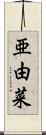 亜由菜 Scroll