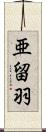 亜留羽 Scroll