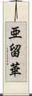 亜留華 Scroll