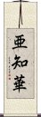 亜知華 Scroll