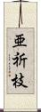 亜祈枝 Scroll