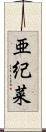 亜紀菜 Scroll