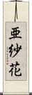 亜紗花 Scroll