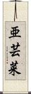 亜芸菜 Scroll