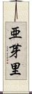 亜芽里 Scroll