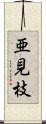 亜見枝 Scroll