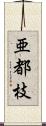 亜都枝 Scroll