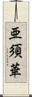 亜須華 Scroll