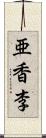 亜香李 Scroll