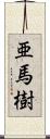 亜馬樹 Scroll