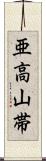 亜高山帯 Scroll