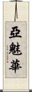 亞魅華 Scroll