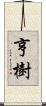 亨樹 Scroll