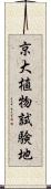 京大植物試験地 Scroll