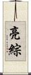 亮綜 Scroll