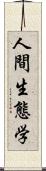 人間生態学 Scroll
