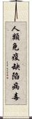 人類免疫缺陷病毒 Scroll