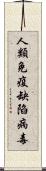 人類免疫缺陷病毒 Scroll