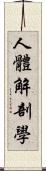 人體解剖學 Scroll