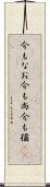 今もなお Scroll