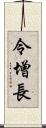 令增長 Scroll