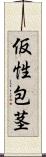 仮性包茎 Scroll