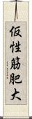 仮性筋肥大 Scroll