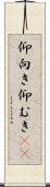 仰向き Scroll