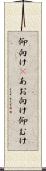 仰向け(P) Scroll