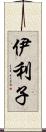 伊利子 Scroll