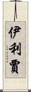 Elizjah Scroll