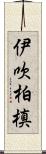 伊吹柏槙 Scroll