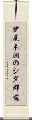 伊尾木洞のシダ群落 Scroll