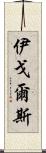 伊戈爾斯 Scroll