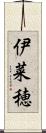 伊菜穂 Scroll