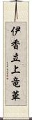 伊香立上竜華 Scroll