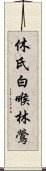 休氏白喉林鶯 Scroll