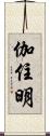 伽住明 Scroll