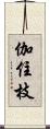 伽住枝 Scroll