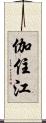 伽住江 Scroll