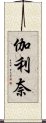 伽利奈 Scroll